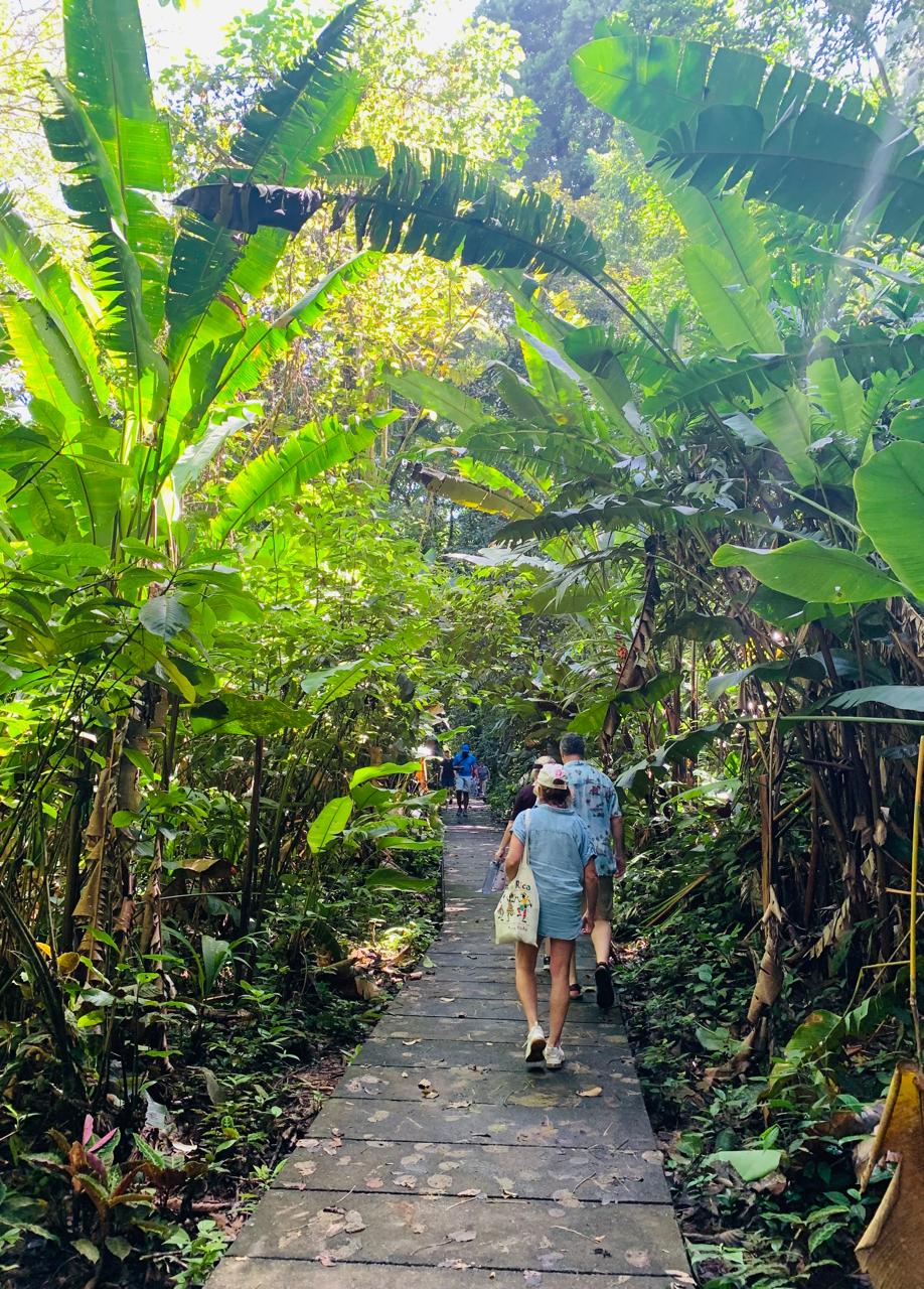 Tortuguero WhatsApp Image 2025-12-06 at 11.40.42 AM (1)